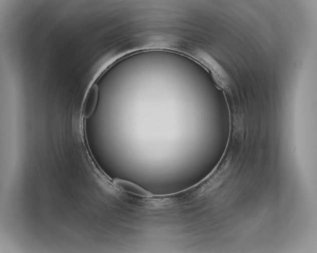 X0000111631340200907171519