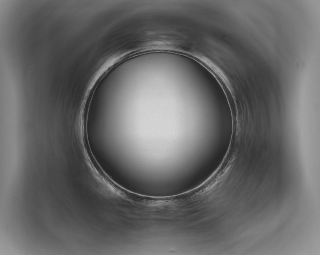 X0000111631341200907171519