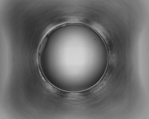 X0000111631342200907171519