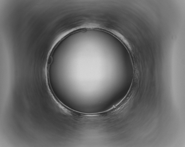X0000111631343200907171519