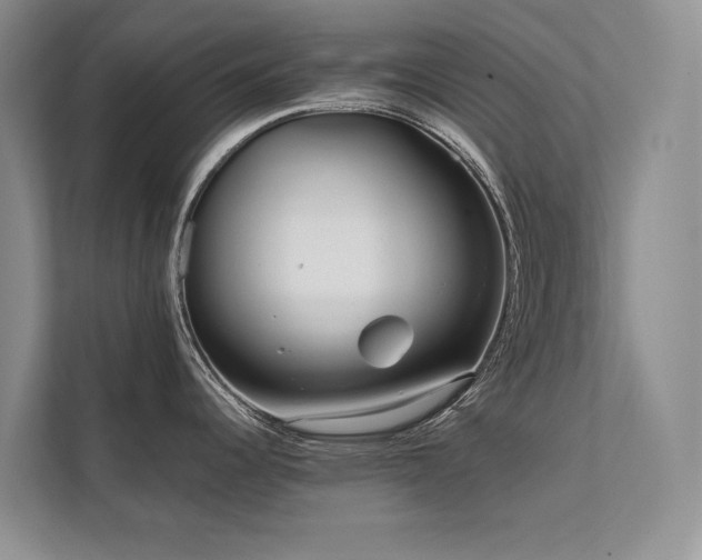 X0000111631344200907171519
