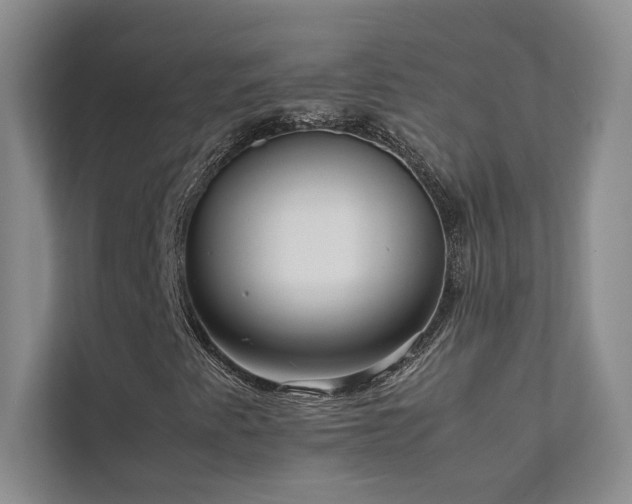 X0000111631345200907171518