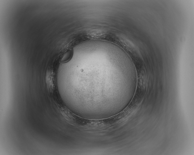 X0000111631346200907171518