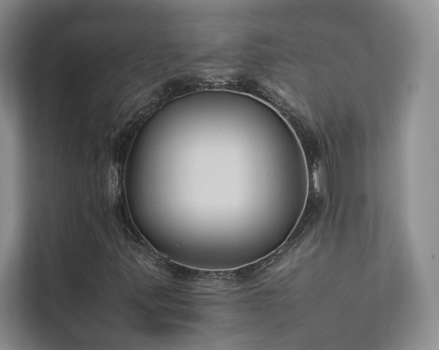 X0000111631347200907171518