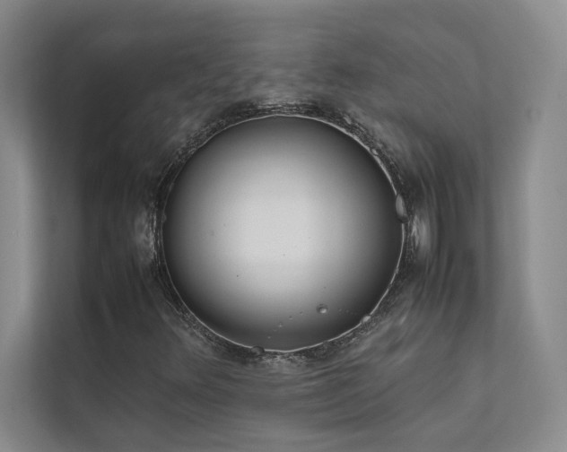 X0000111631348200907171518