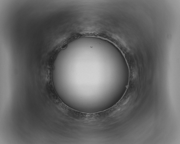 X0000111631350200907171518