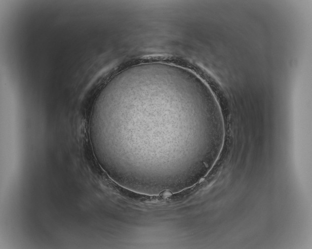 X0000111631351200907171518