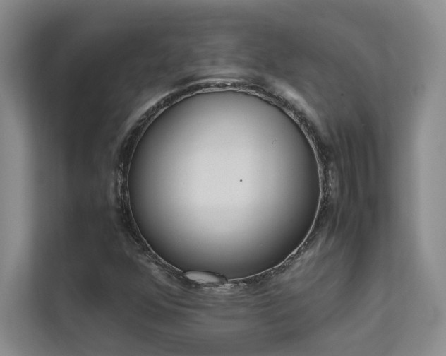 X0000111631352200907171518