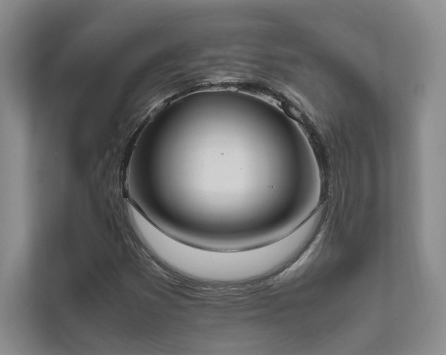 X0000111631353200907171518