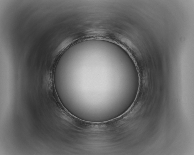 X0000111631354200907171518