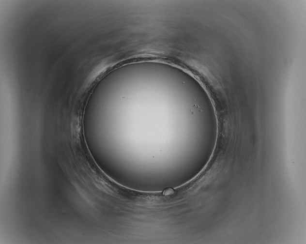 X0000111631355200907171518