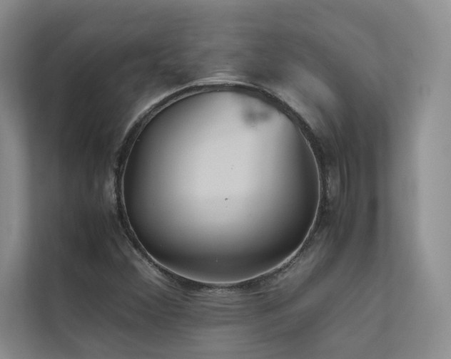 X0000111631356200907171518