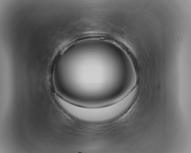 X0000111631357200907171518