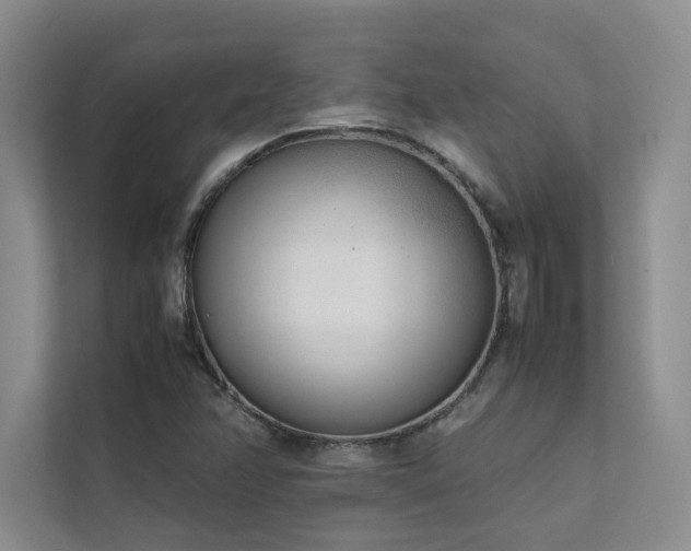 X0000111631358200907171518