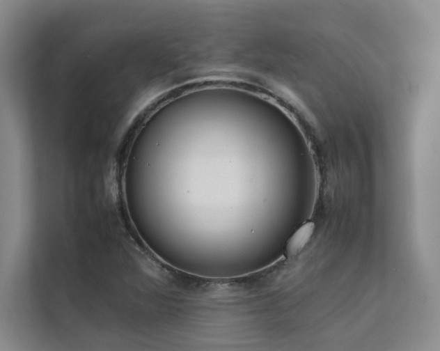 X0000111631360200907171518