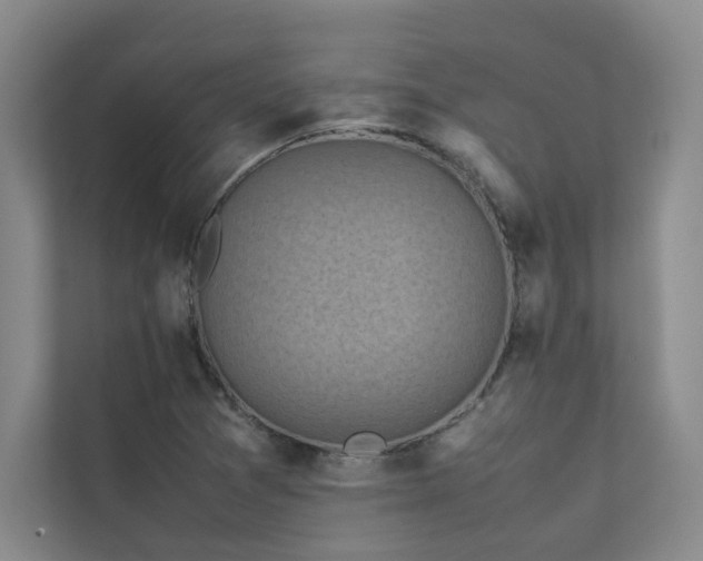 X0000111631361200907171518