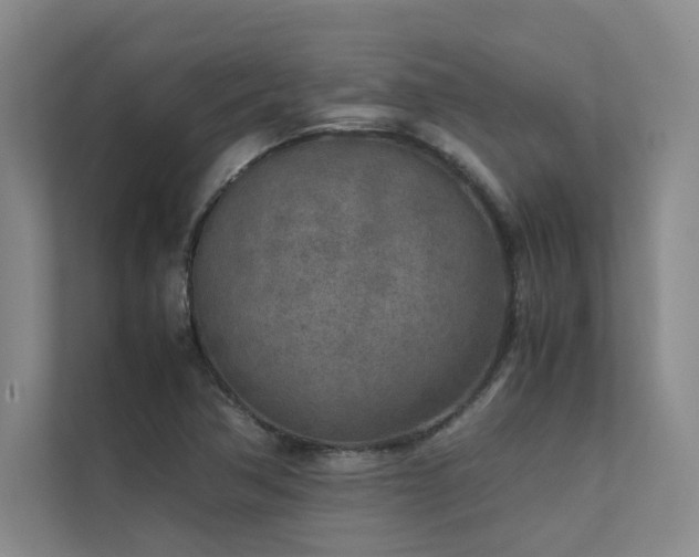 X0000111631362200907171518
