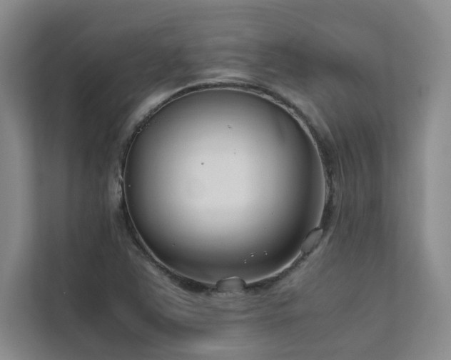 X0000111631363200907171518
