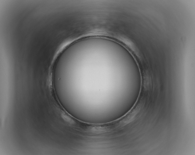 X0000111631366200907171518