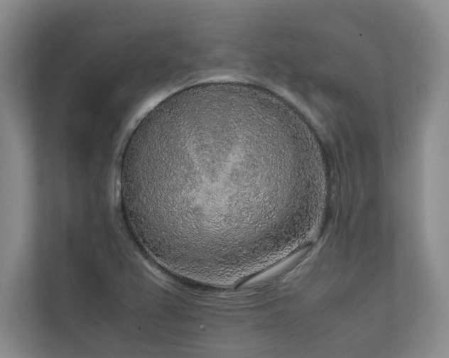 X0000111631367200907171518