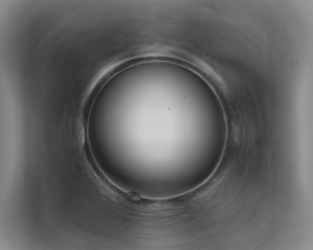 X0000111631368200907171518