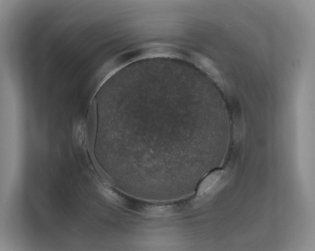 X0000111631369200907171518