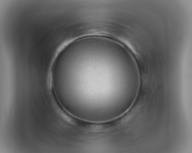 X0000111631371200907171518