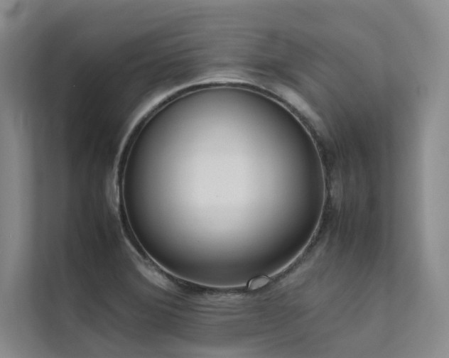 X0000111631372200907171518