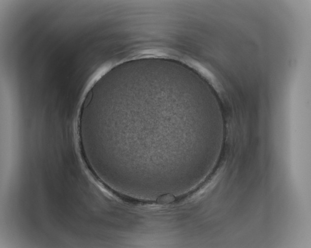 X0000111631373200907171518
