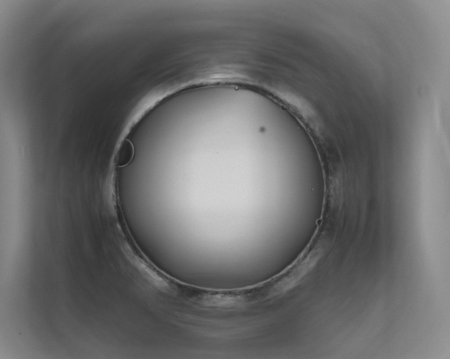 X0000111631374200907171518