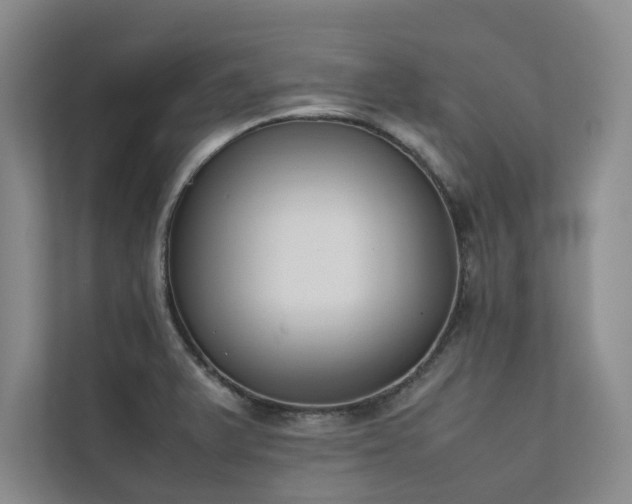 X0000111631375200907171518
