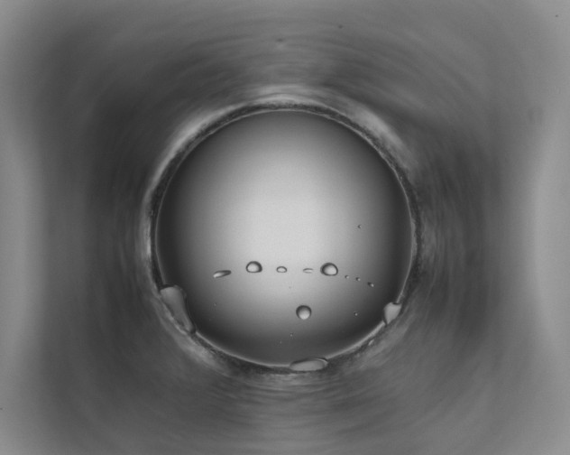 X0000111631376200907171518