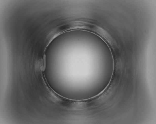X0000111631377200907171518