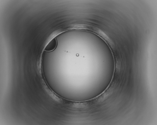 X0000111631378200907171518