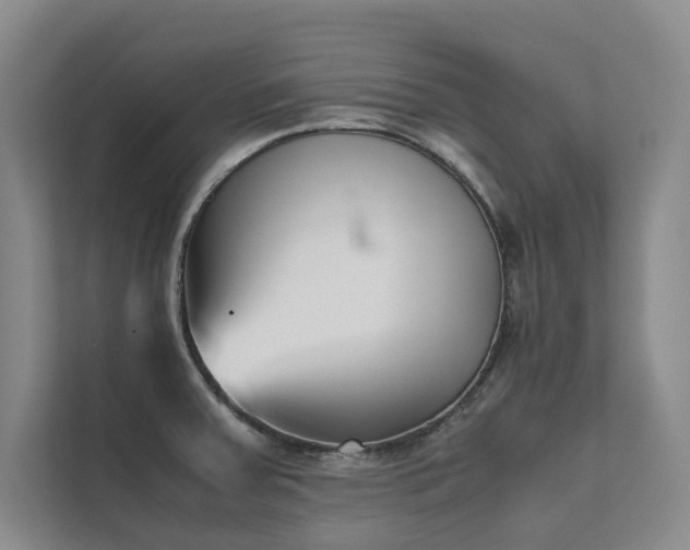 X0000111631379200907171518