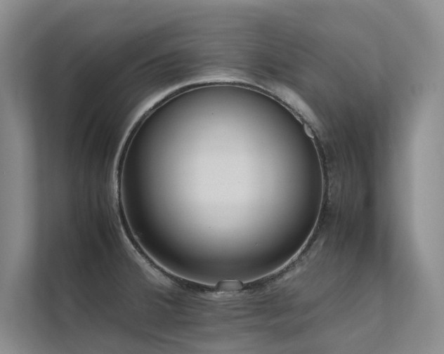X0000111631380200907171518