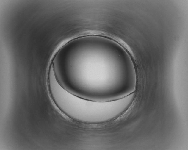 X0000111631381200907171518