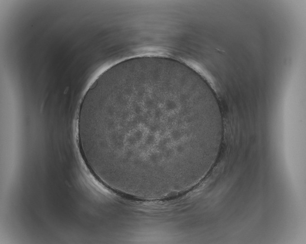 X0000111631383200907171518