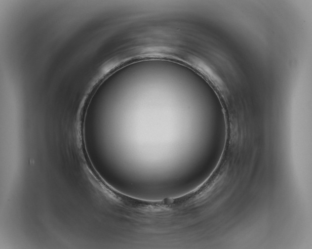 X0000111631384200907171518