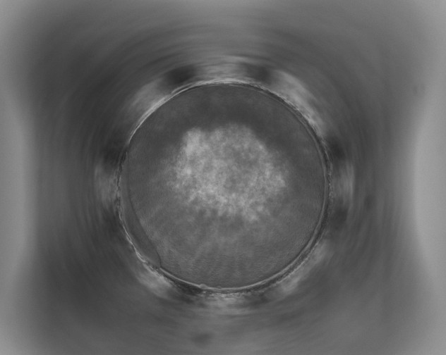 X0000111631385200907171518
