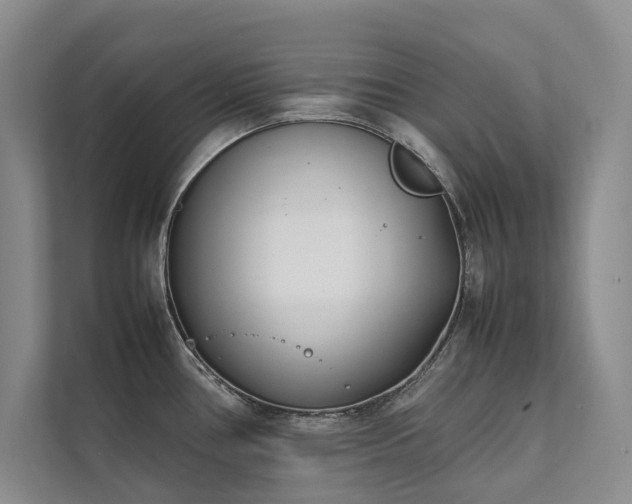 X0000111631386200907171518