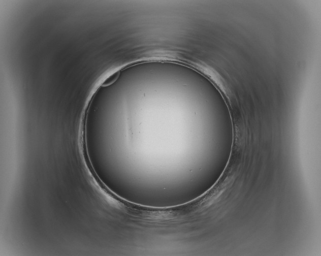 X0000111631387200907171518