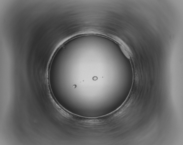 X0000111631388200907171518