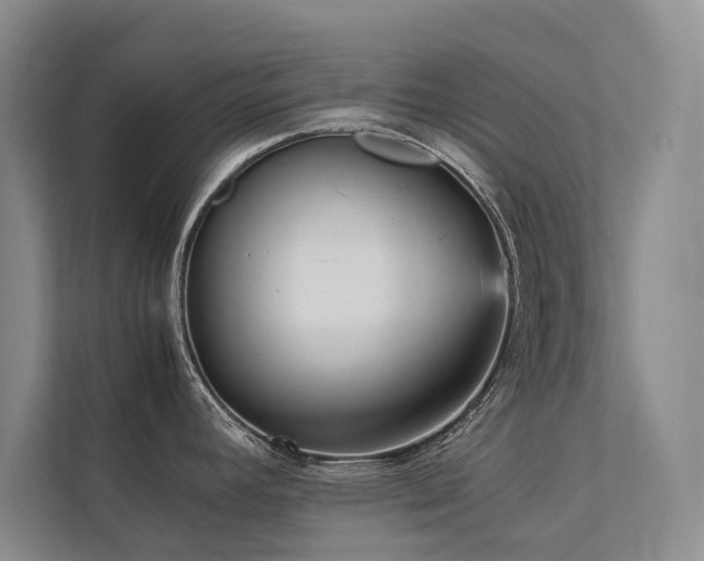 X0000111631392200907171518
