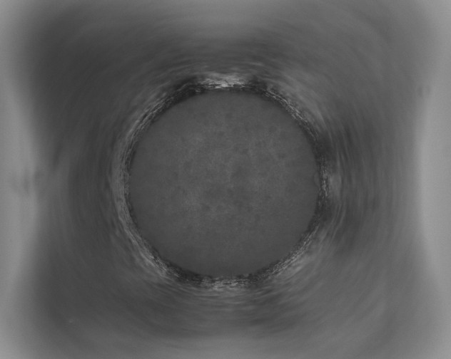 X0000111631393200907171517