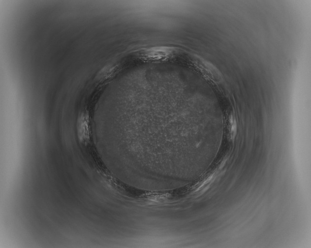 X0000111631394200907171517