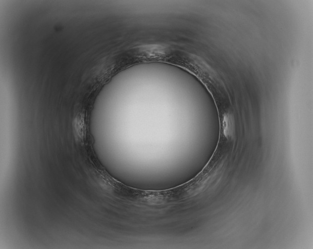 X0000111631395200907171517