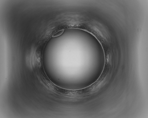 X0000111631396200907171517