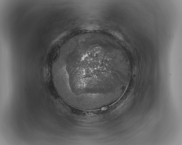 X0000111631398200907171517