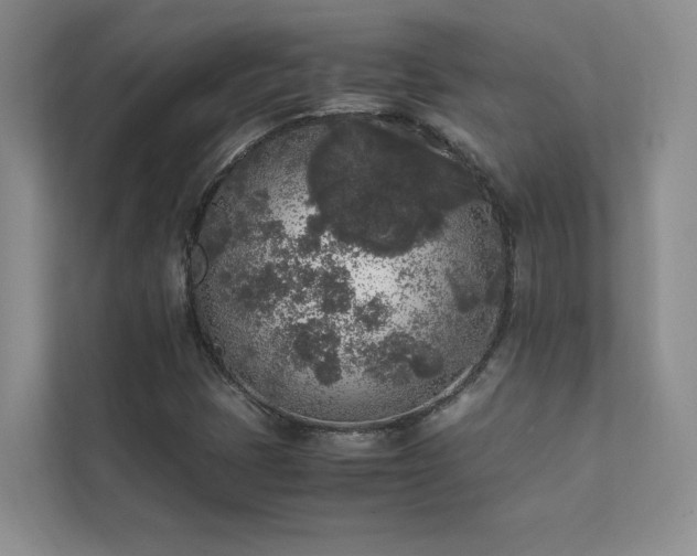 X0000111631401200907171517